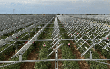 بیابان زدایی با استفاده از پنل خورشیدی در چین